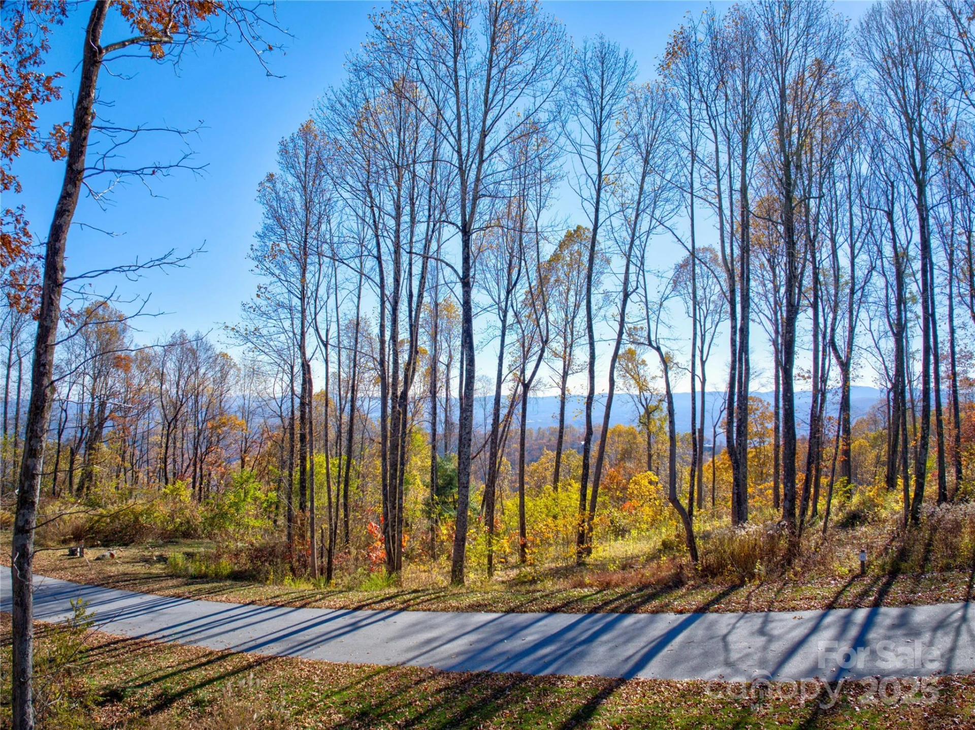 7 Laurel Ledge Way #13 - Photo 15