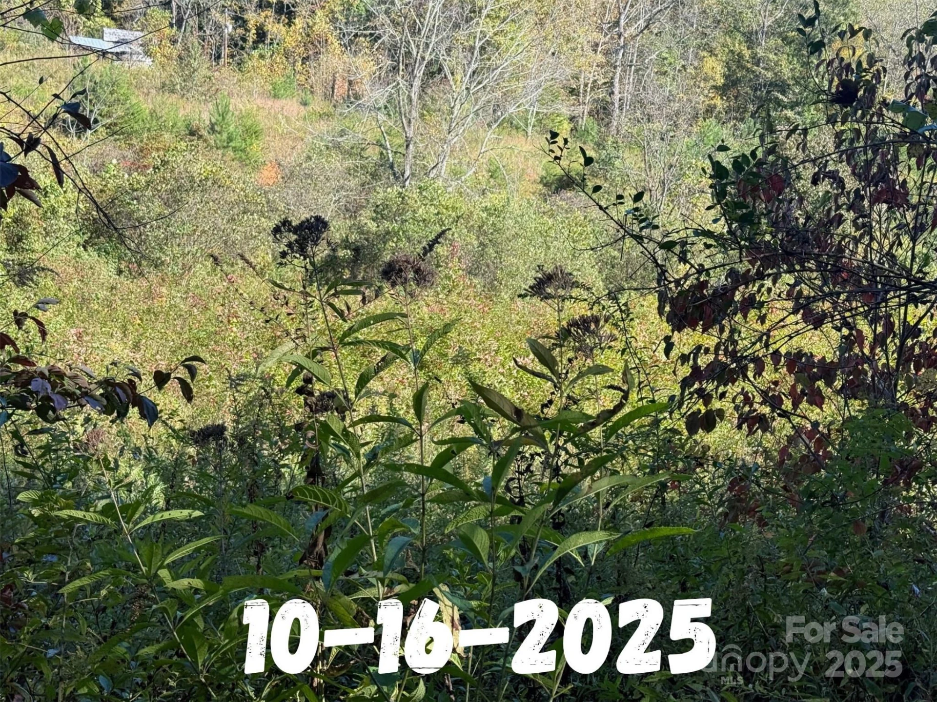 8361 Old Fort Sugar Hill Road - Photo 17