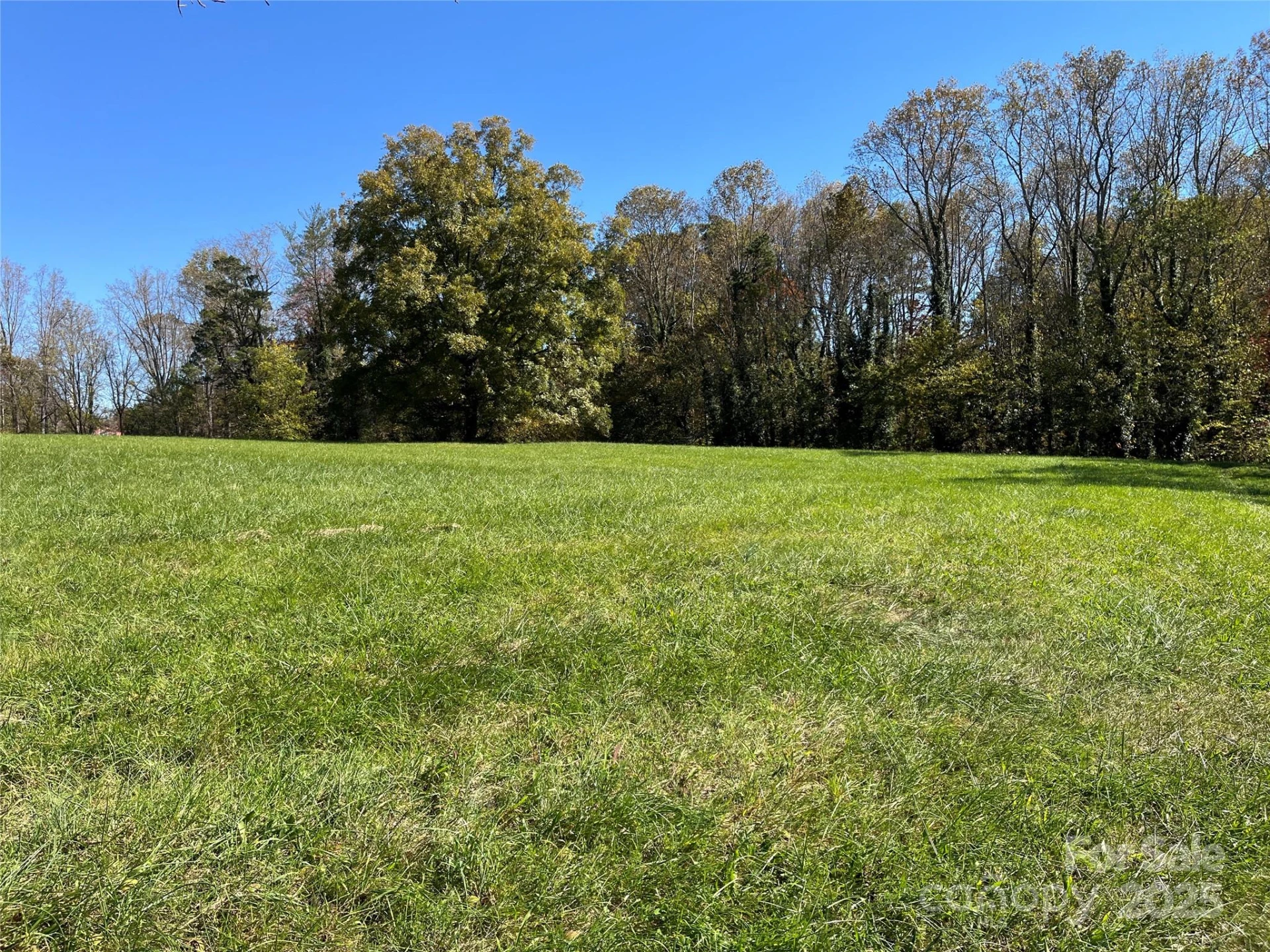 180 Holbrook Road - Photo 6