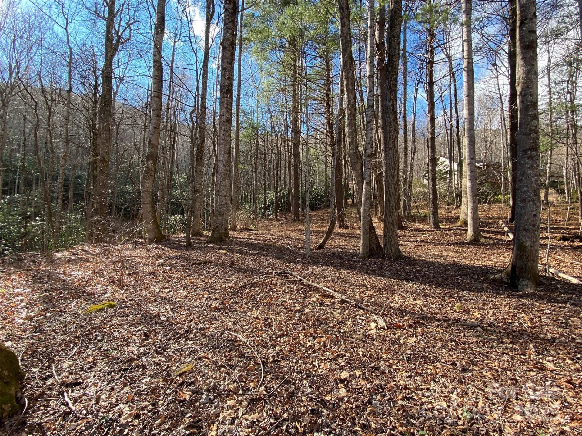 12 Laurel Branch Drive