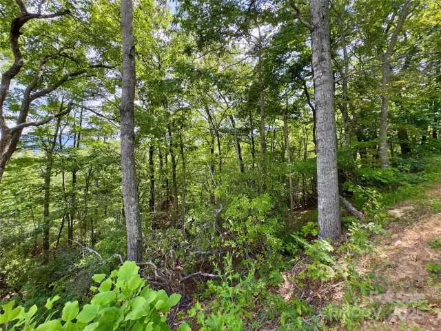 94 Galax Drive
