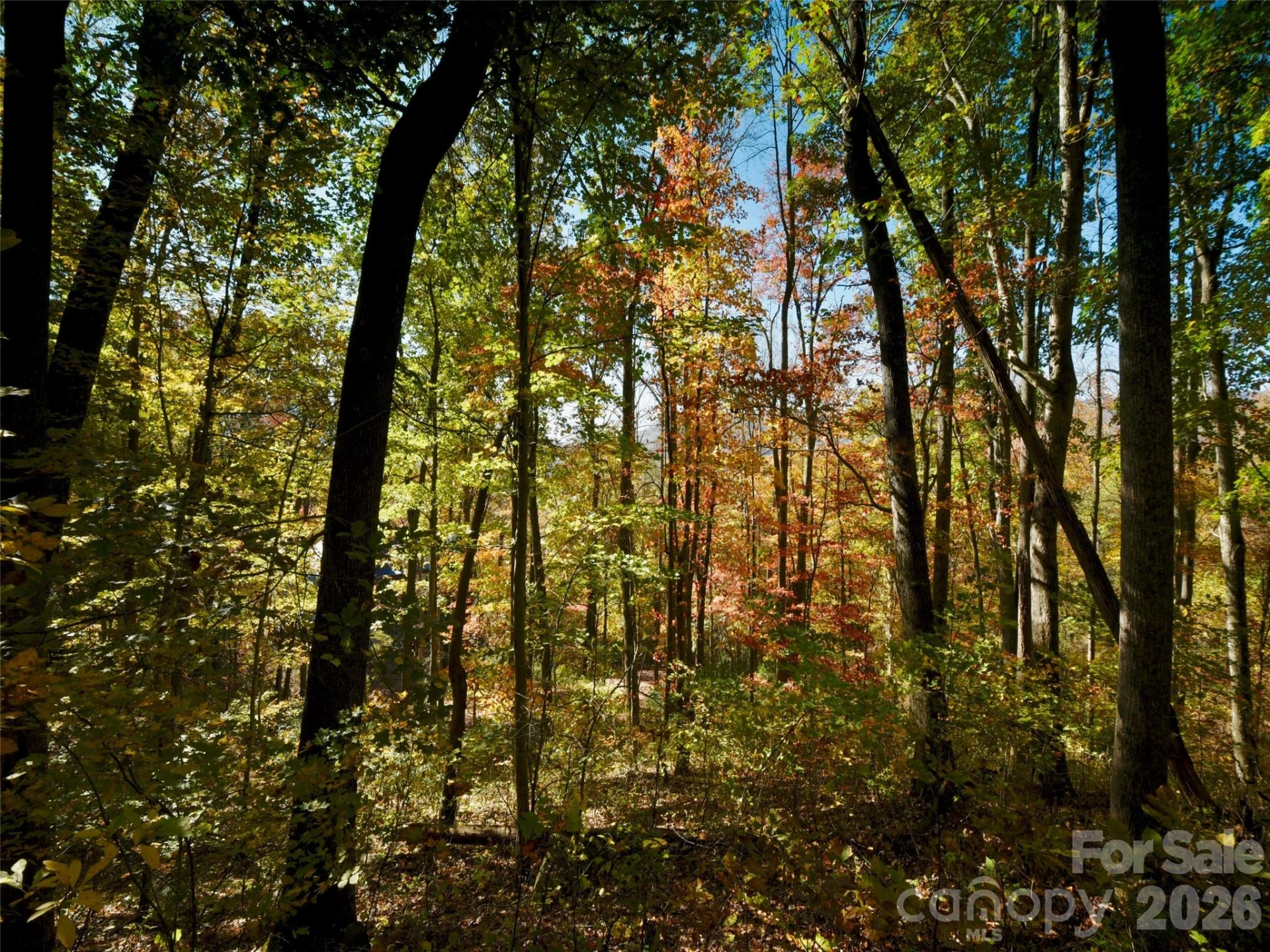841 Blackthorne Lane - Photo 11