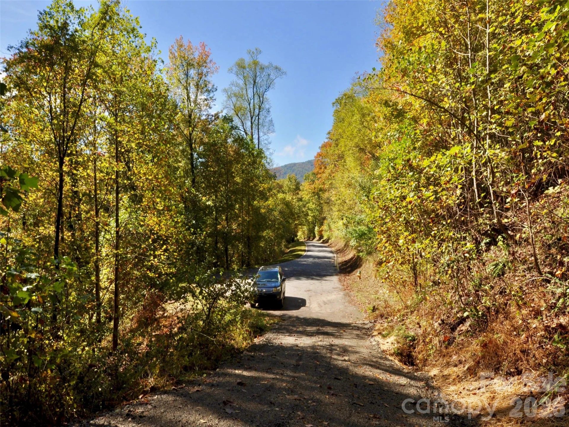841 Blackthorne Lane - Photo 17
