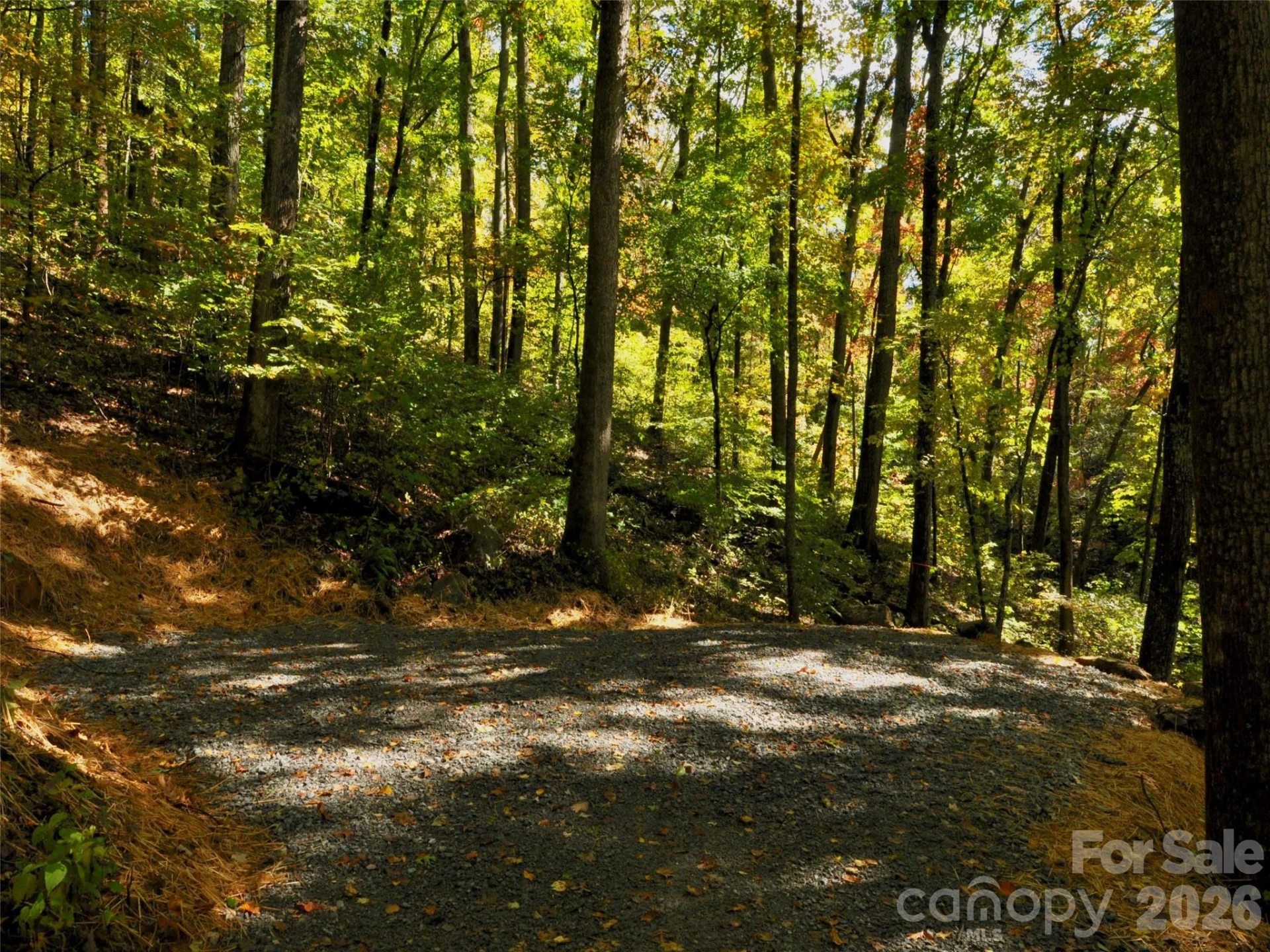 841 Blackthorne Lane - Photo 22
