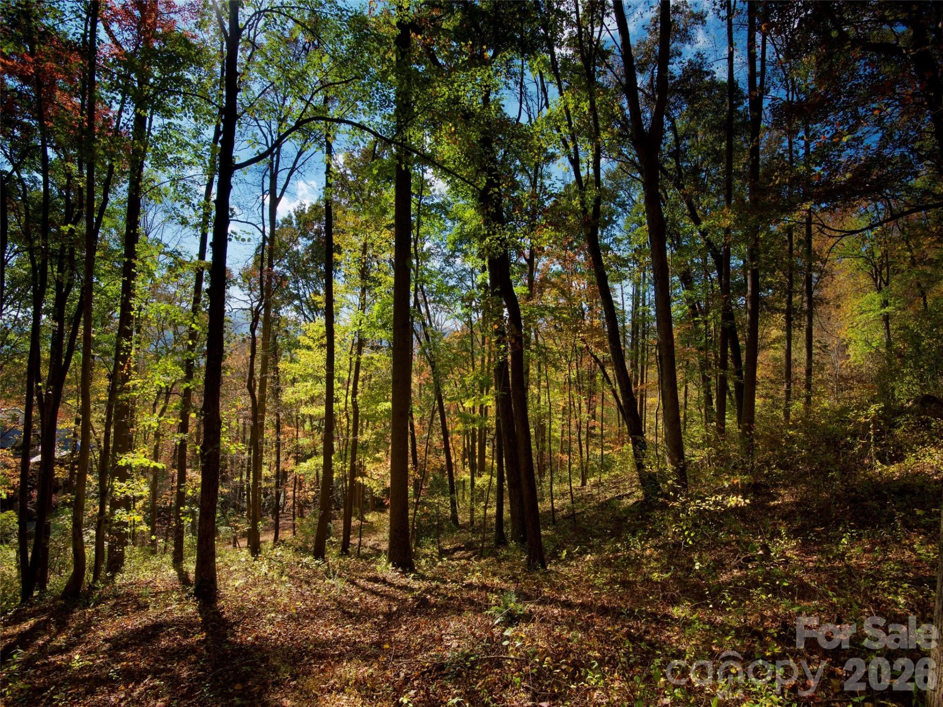 841 Blackthorne Lane - Photo 8