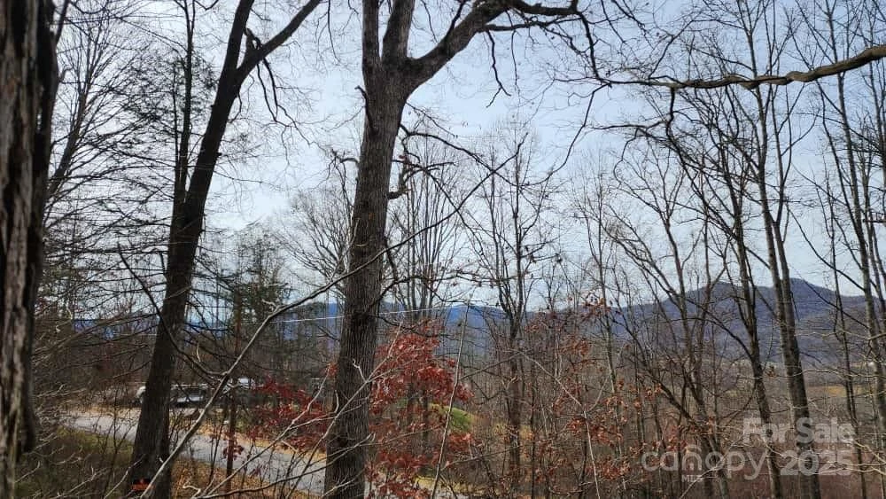 00 SATINWOOD Drive #19 - Photo 13