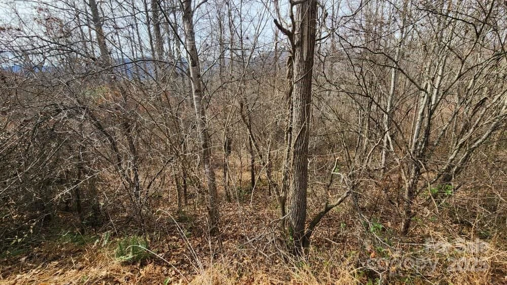 00 SATINWOOD Drive #19 - Photo 22