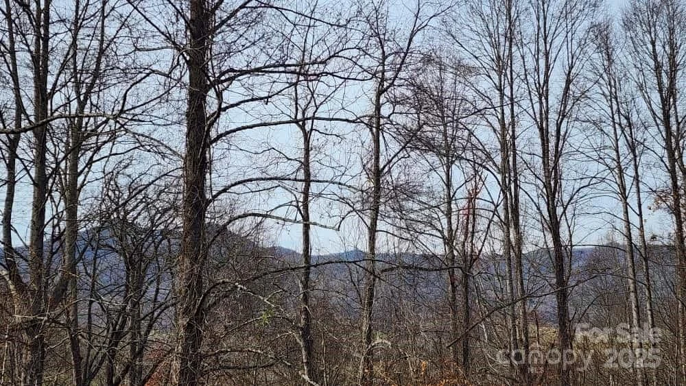 00 SATINWOOD Drive #19 - Photo 23
