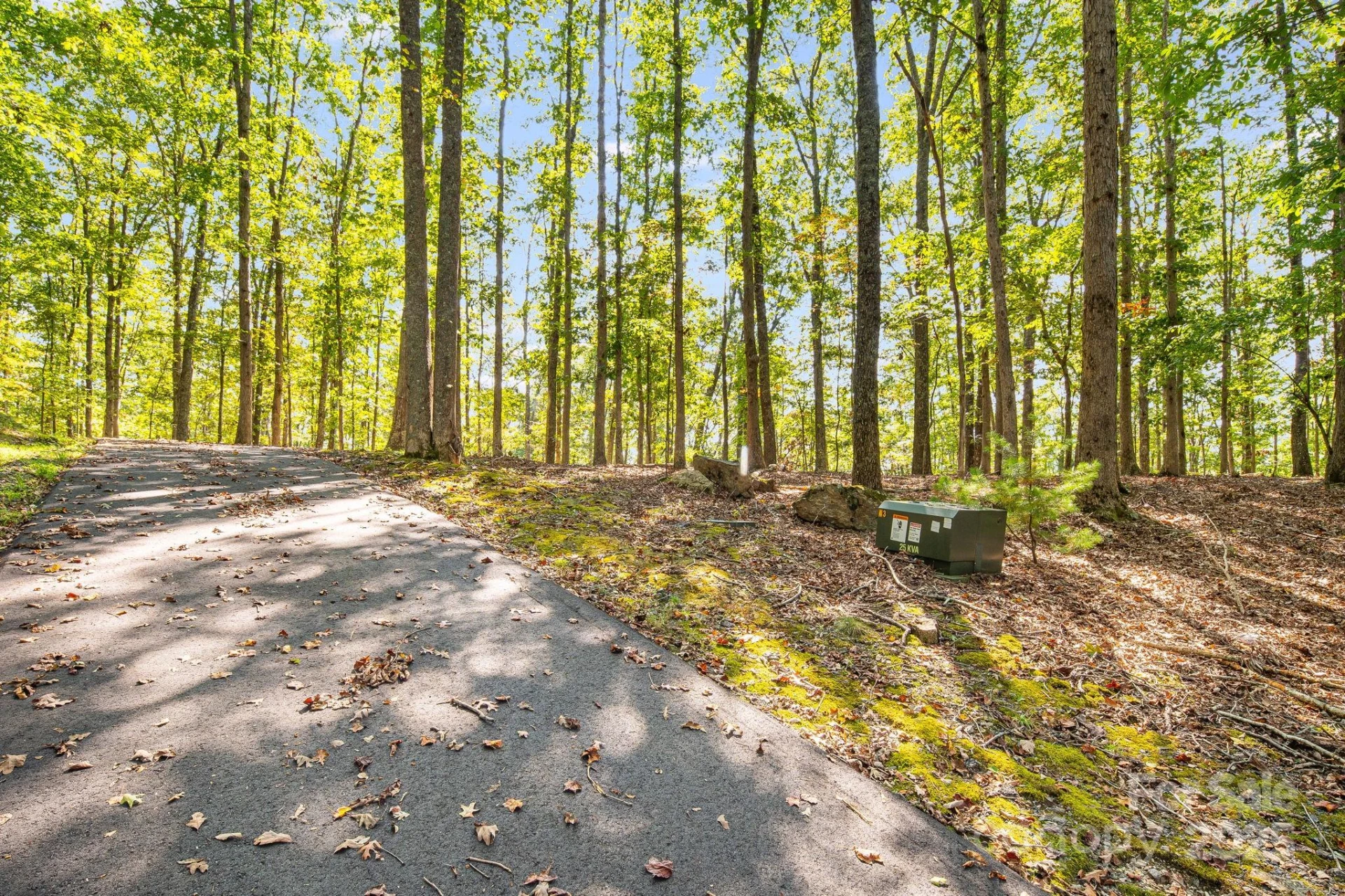 111 Wild Turkey Loop - Photo 16