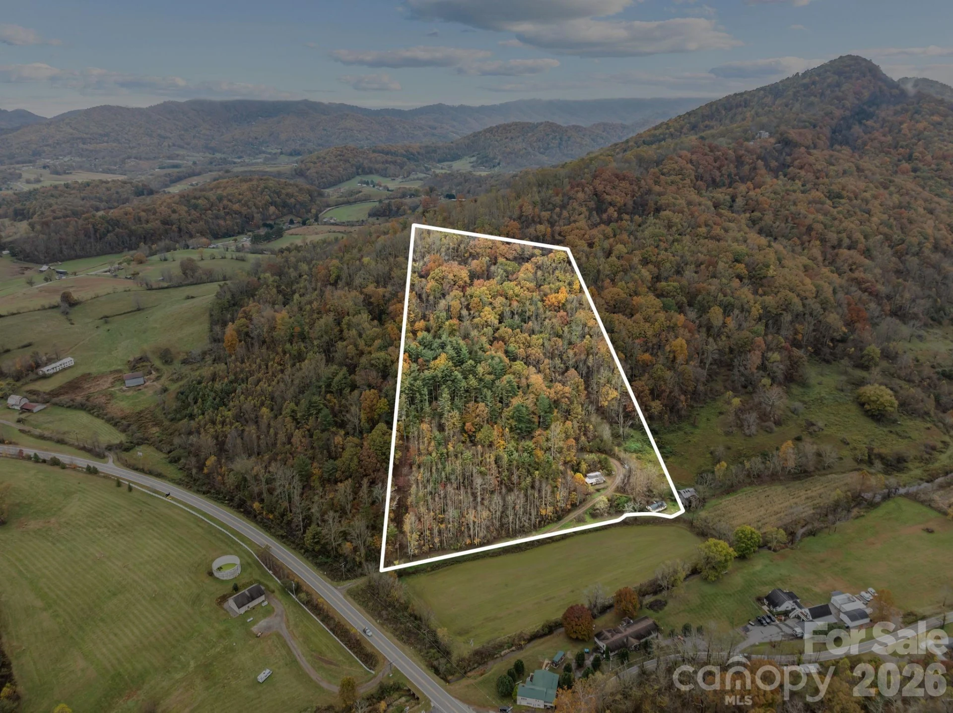 3114 New Leicester Highway - Photo 24
