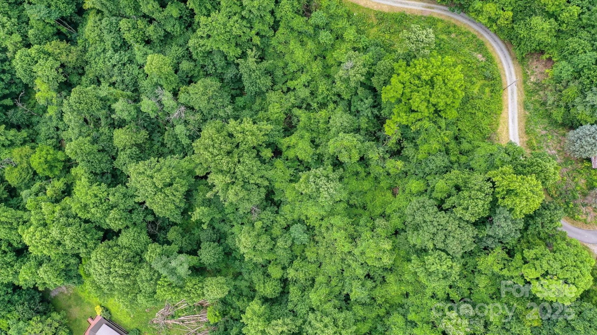 99999 Secluded Valley Road - Photo 11