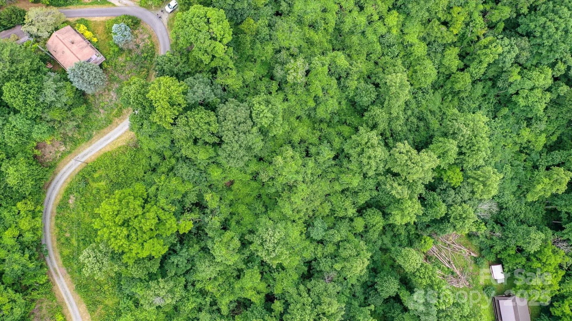 99999 Secluded Valley Road - Photo 9