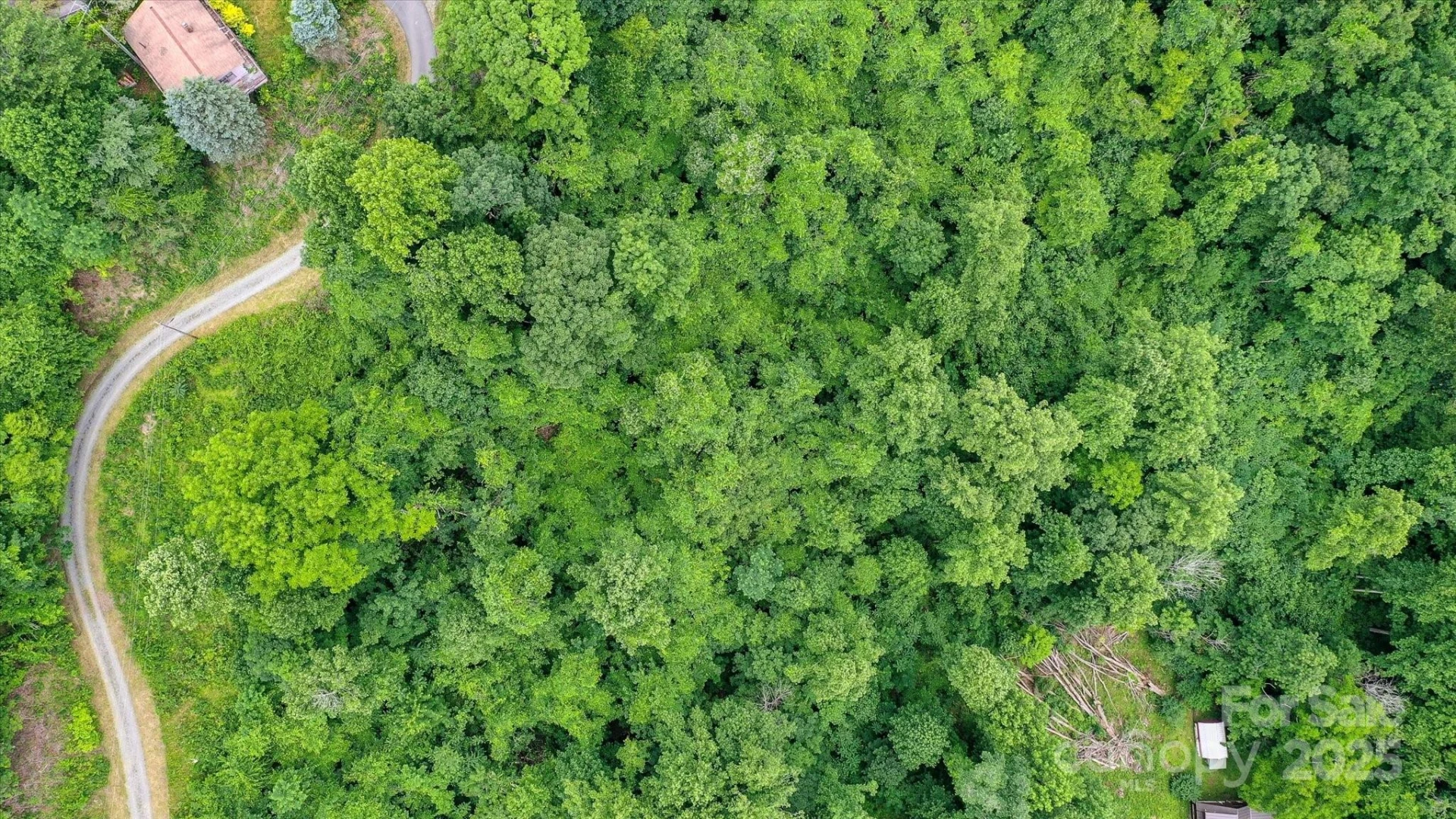 99999 Secluded Valley Road - Photo 10