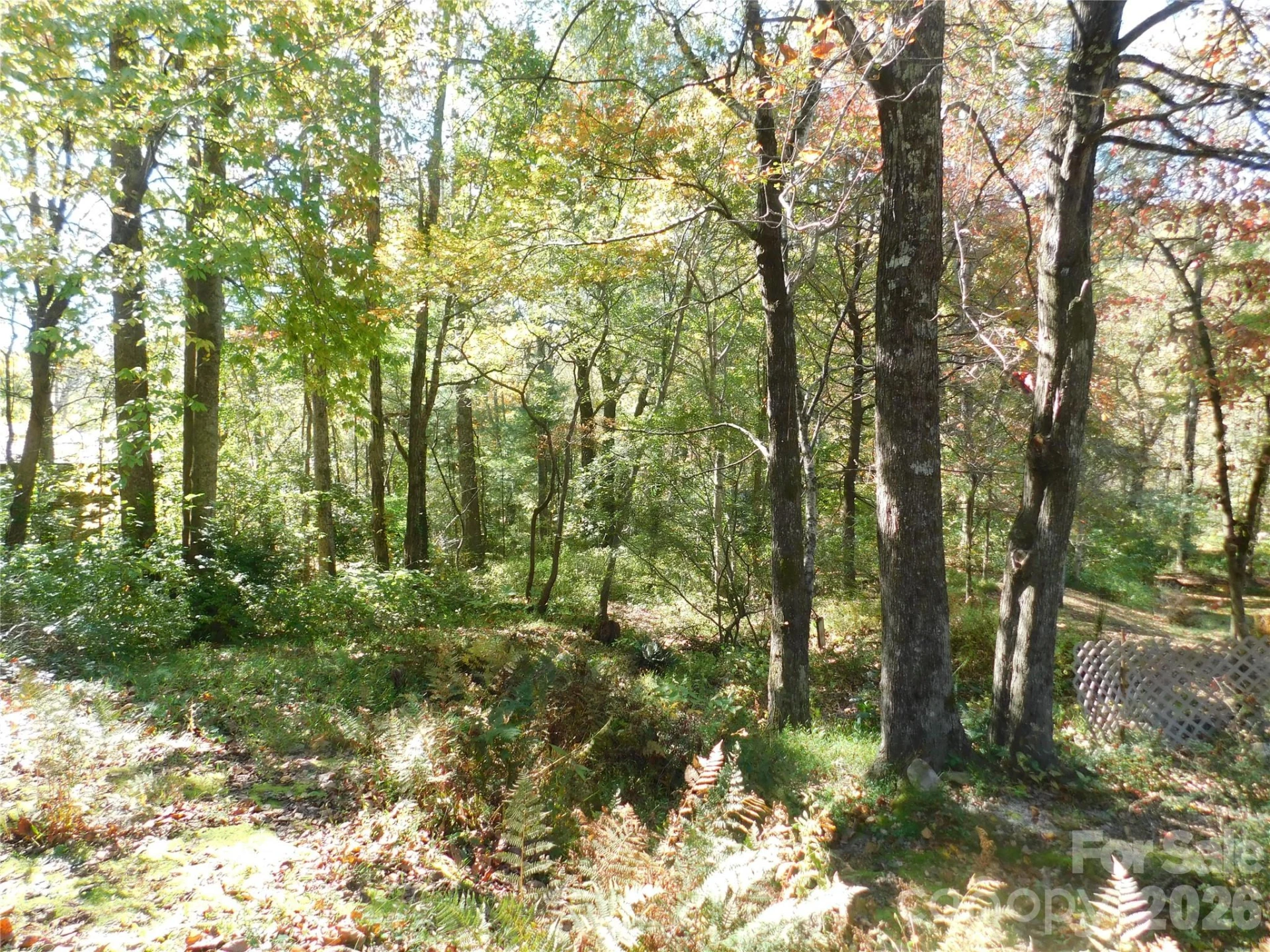 88 E Poplar Drive - Photo 16