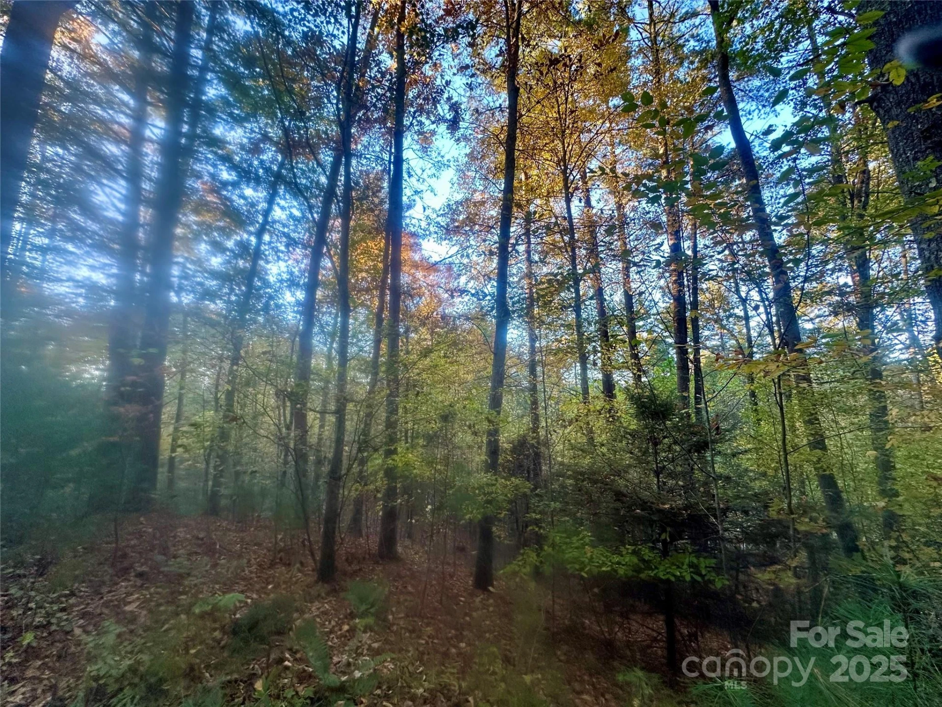 00 Wildlife Drive #7 - Photo 7