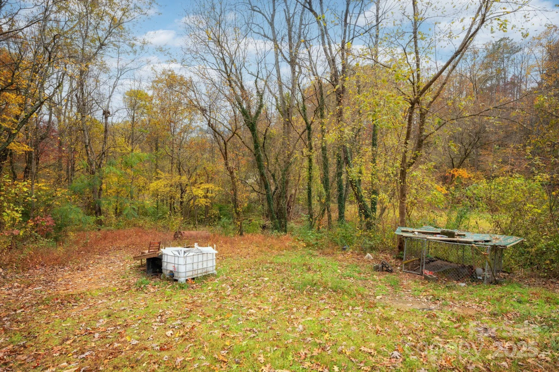 226 Mount Allen Heights - Photo 6