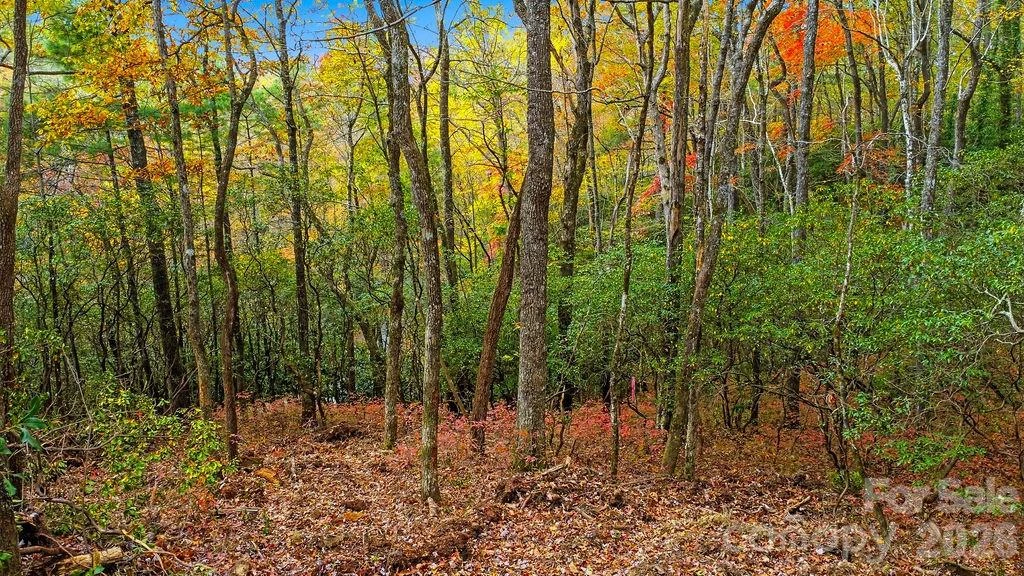 000 Indian Lake Road #21 - Photo 6