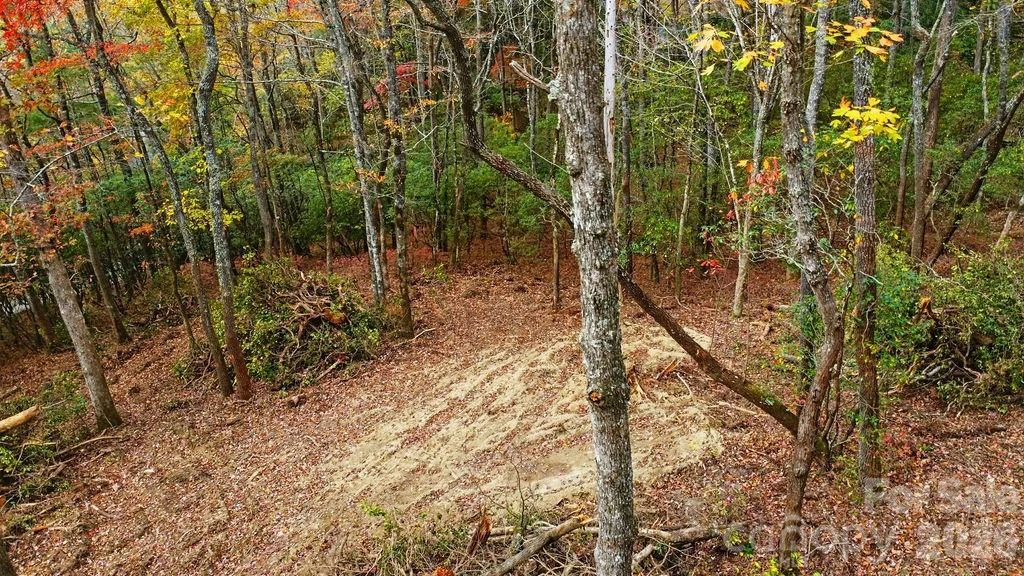 000 Indian Lake Road #21 - Photo 7