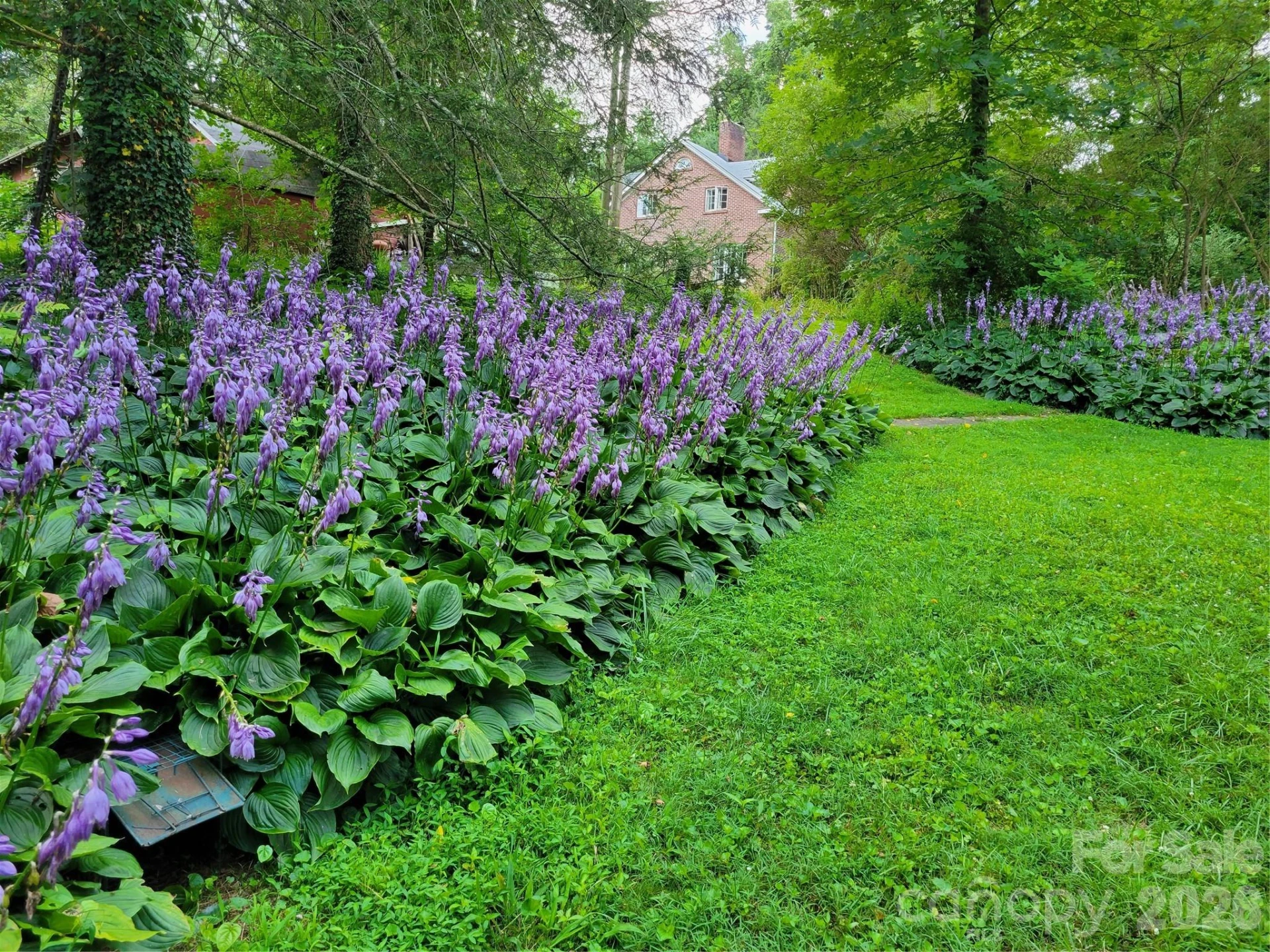 414 Beaucatcher Road - Photo 44