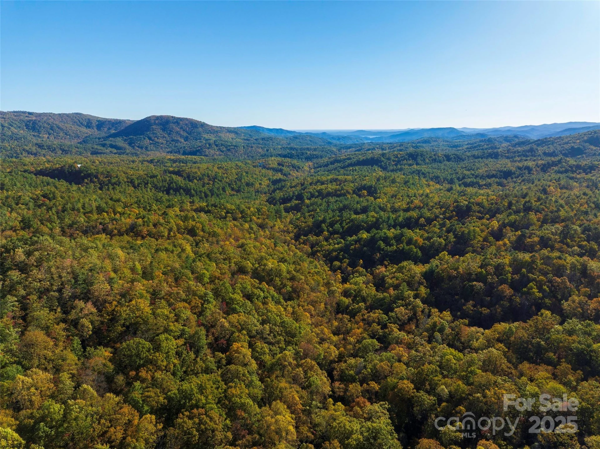 TBD Old Toxaway Road - Photo 3