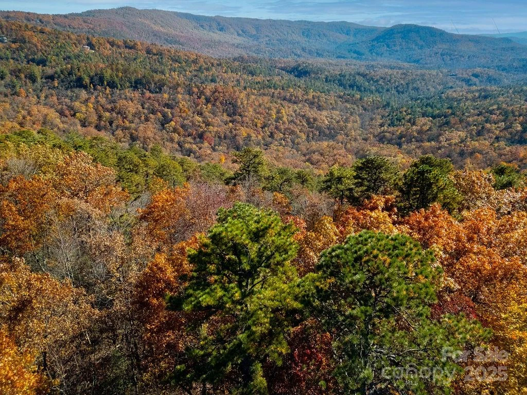 TBD Old Toxaway Road - Photo 4