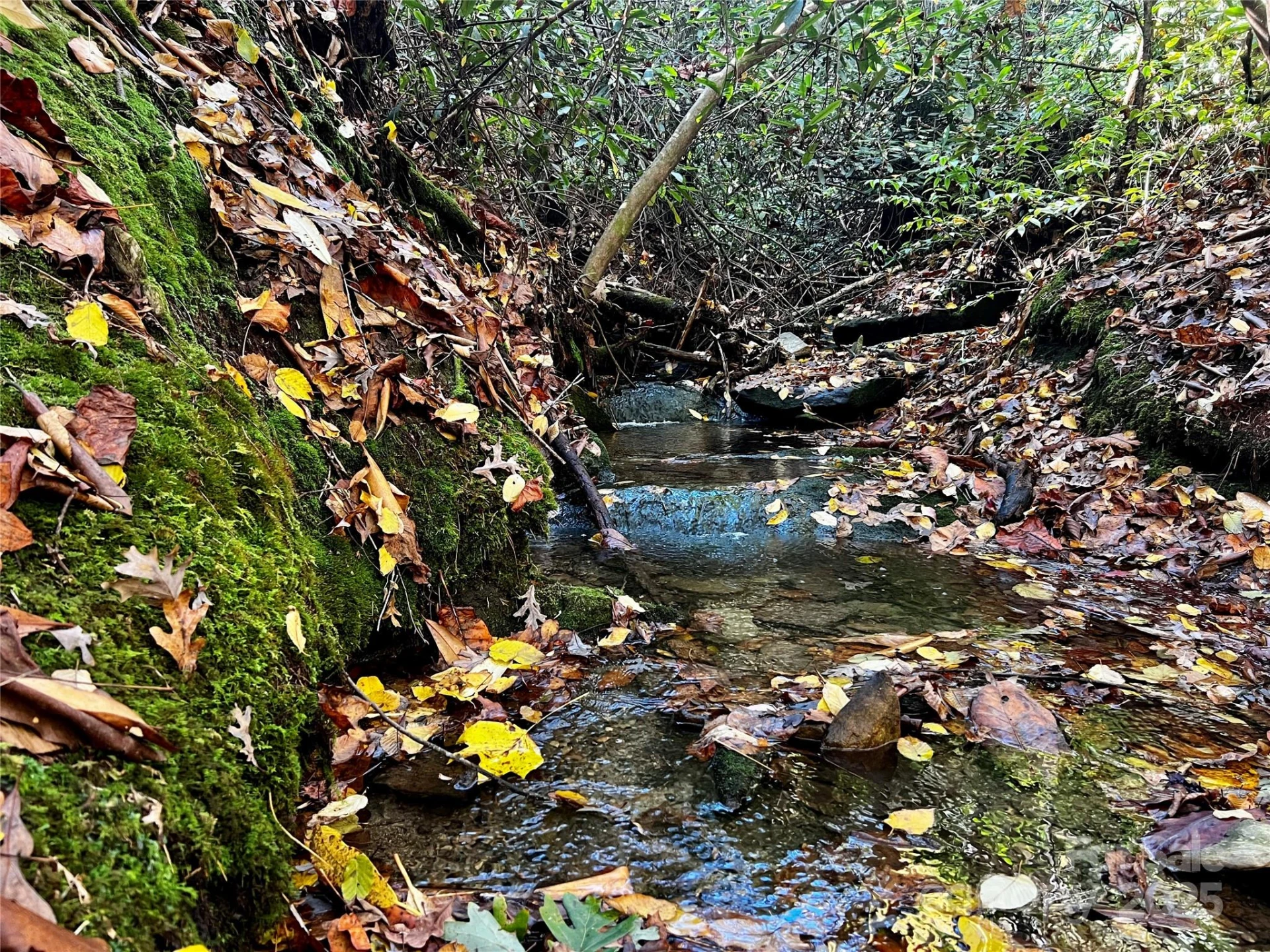 TBD Old Toxaway Road - Photo 5