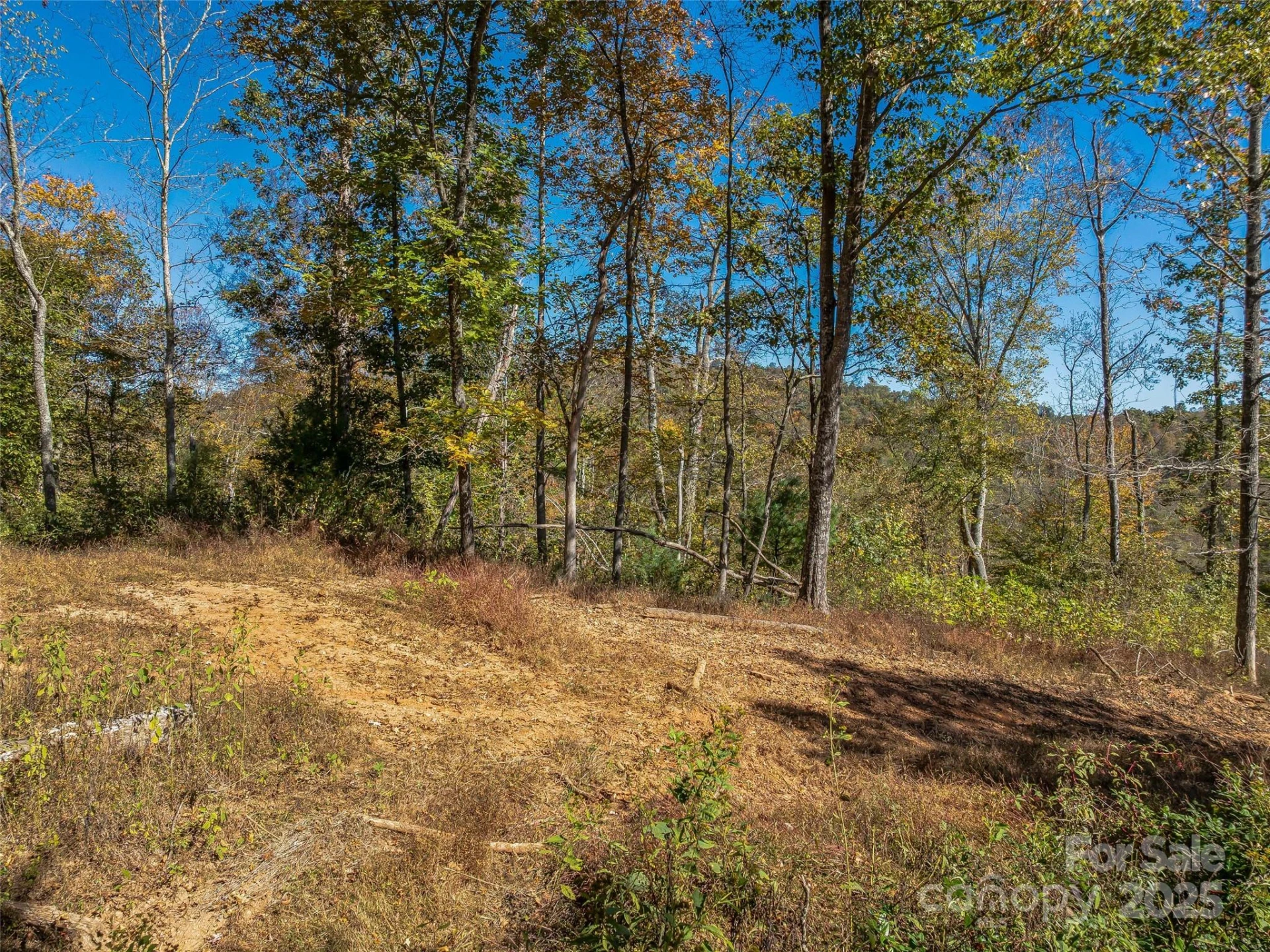 99999 Meadows Town Road - Photo 11