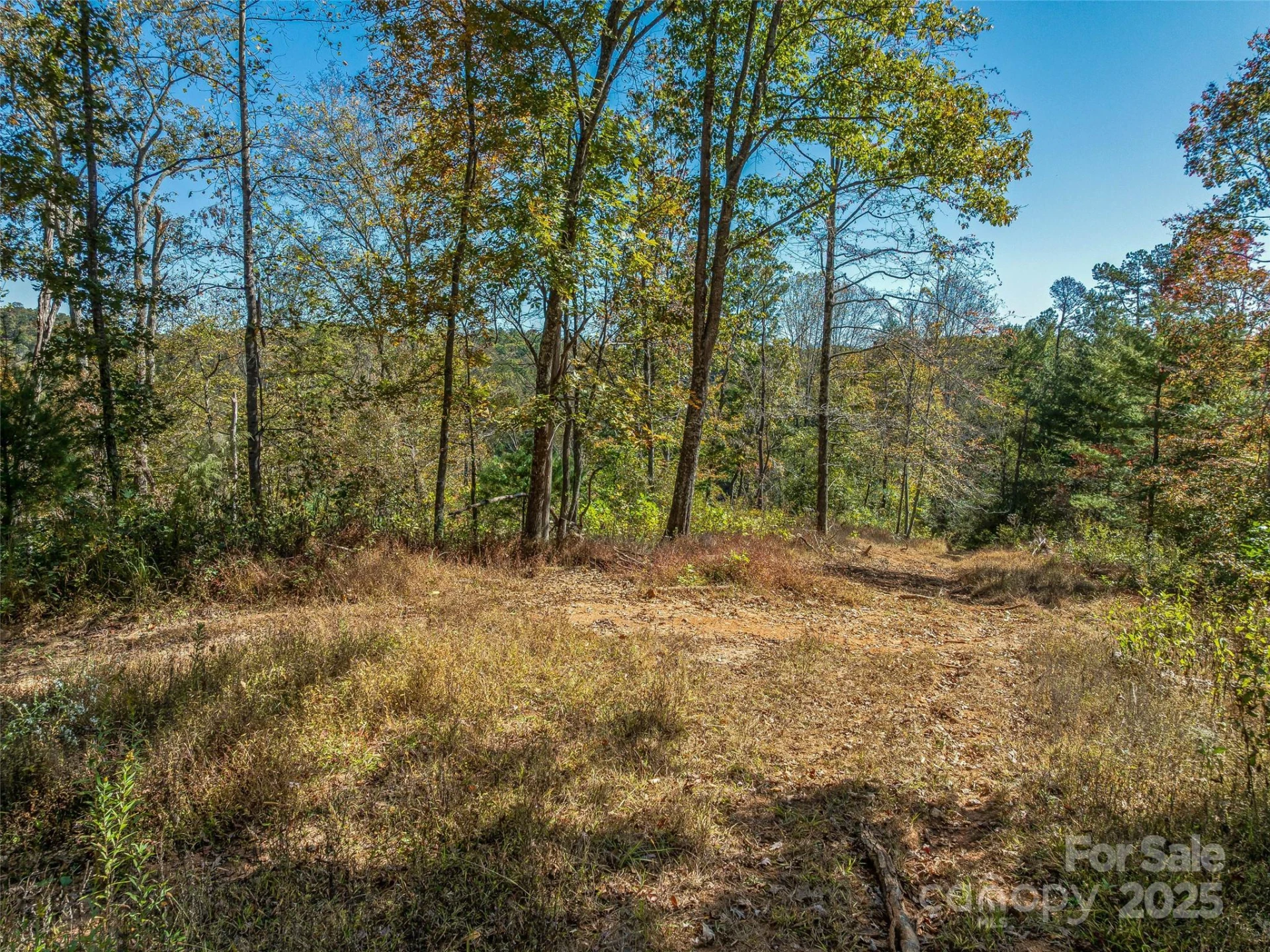 99999 Meadows Town Road - Photo 12