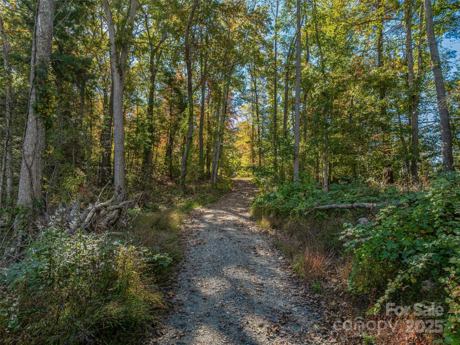 99999 Meadows Town Road - Photo 25