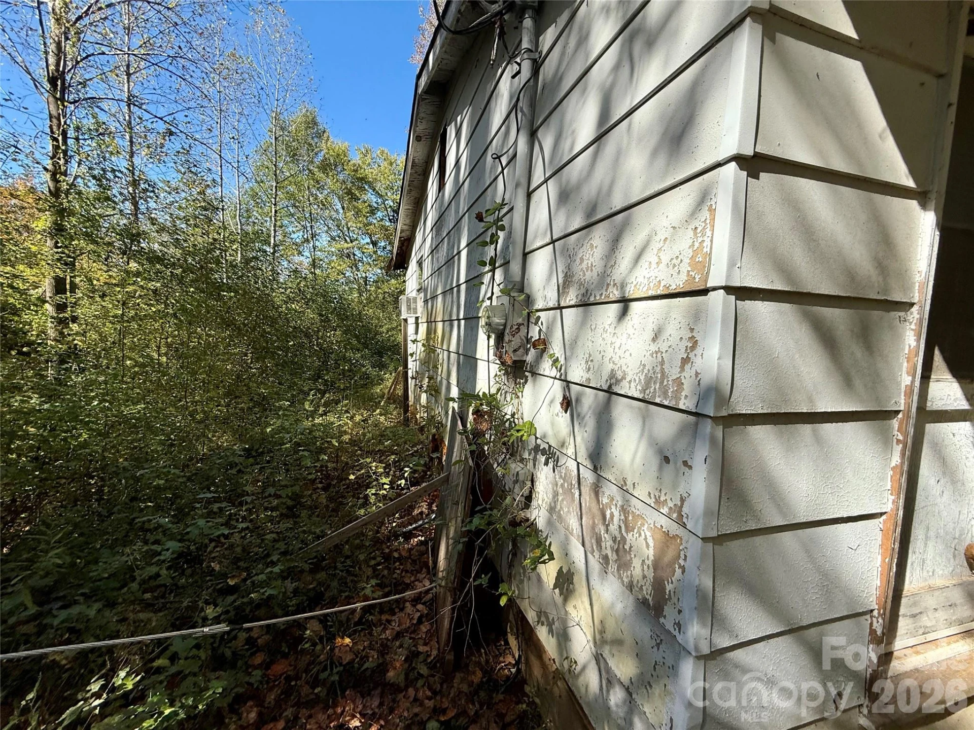 229 Kelsey Lane - Photo 11