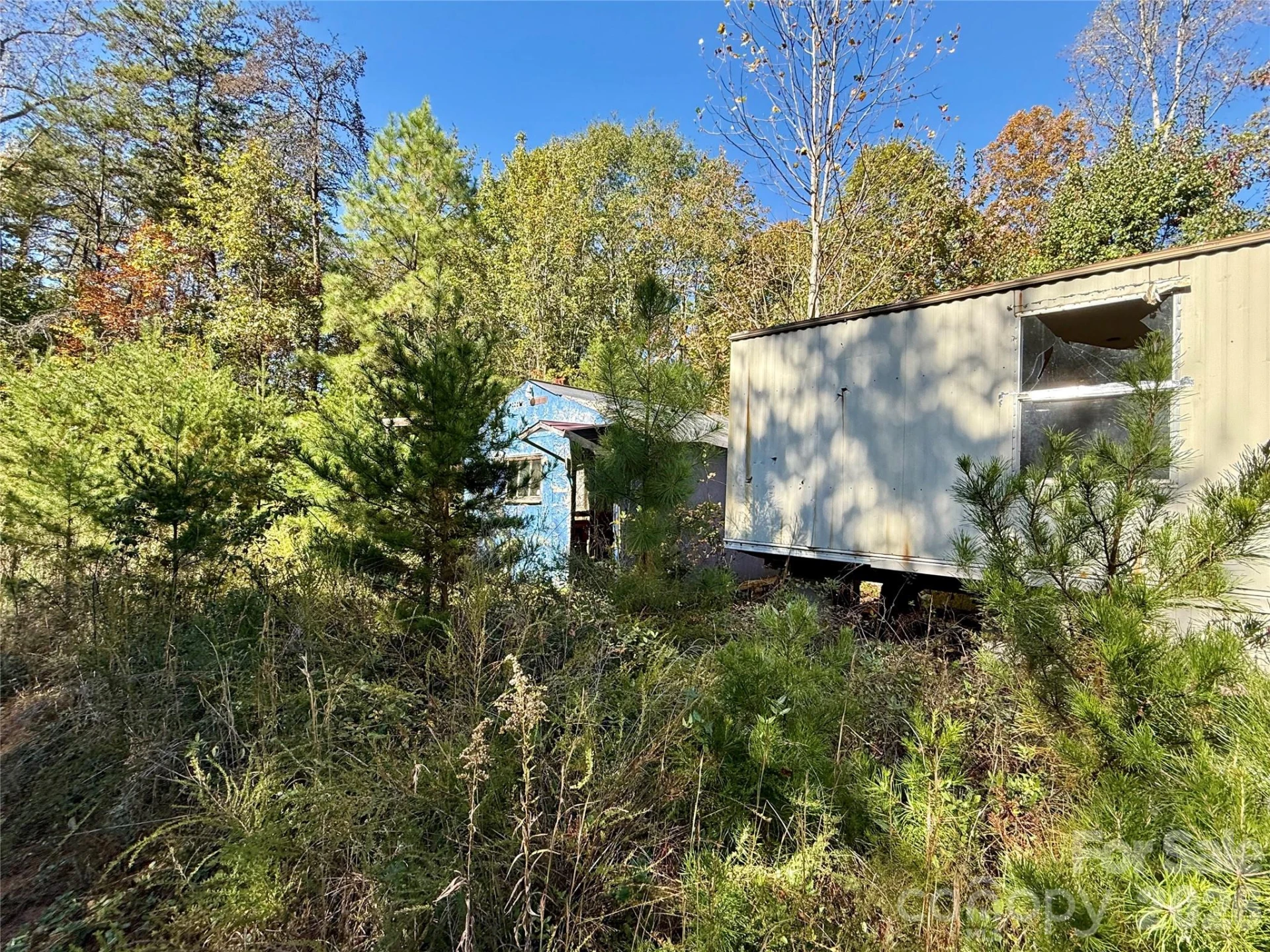 229 Kelsey Lane - Photo 3