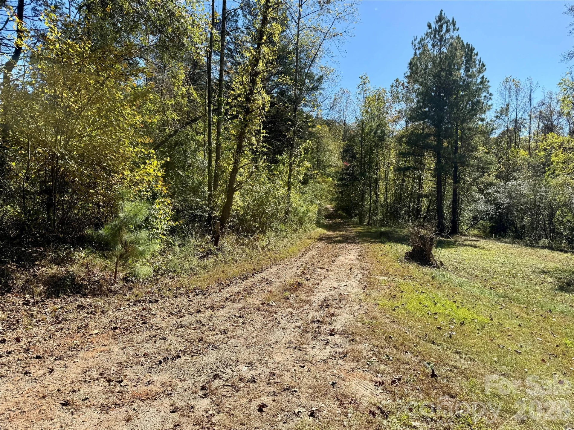 229 Kelsey Lane - Photo 25