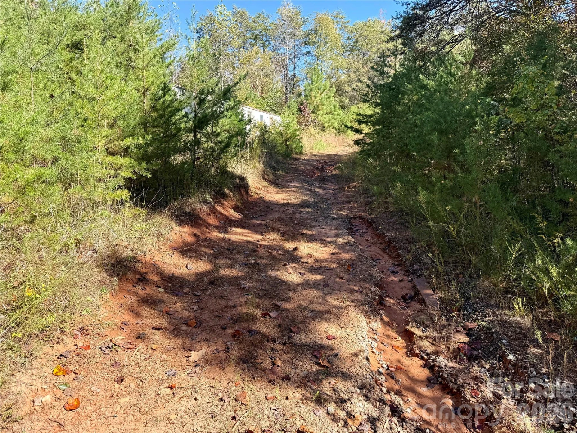 229 Kelsey Lane - Photo 5