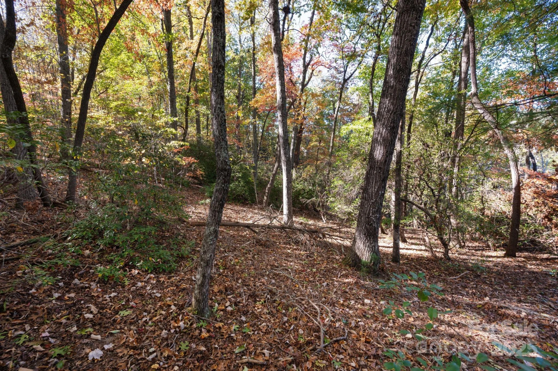 2002 Song Breeze Trail - Photo 12