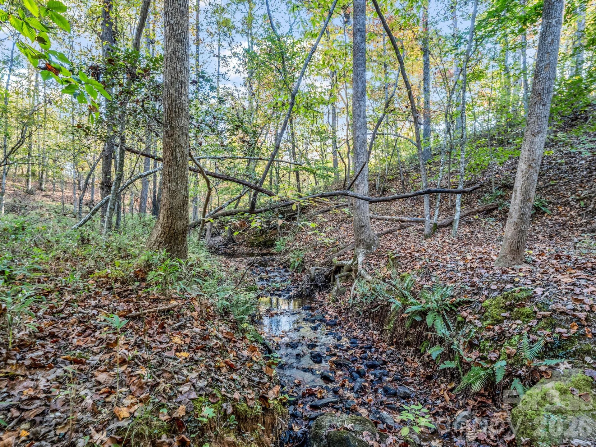 663 Landrum Road - Photo 27