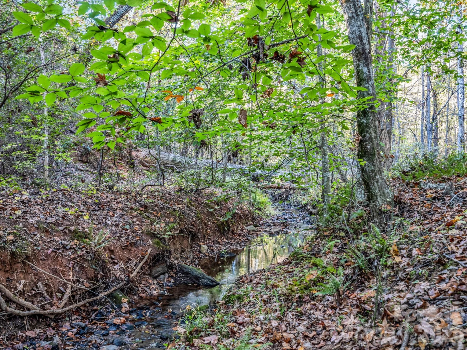 663 Landrum Road - Photo 28