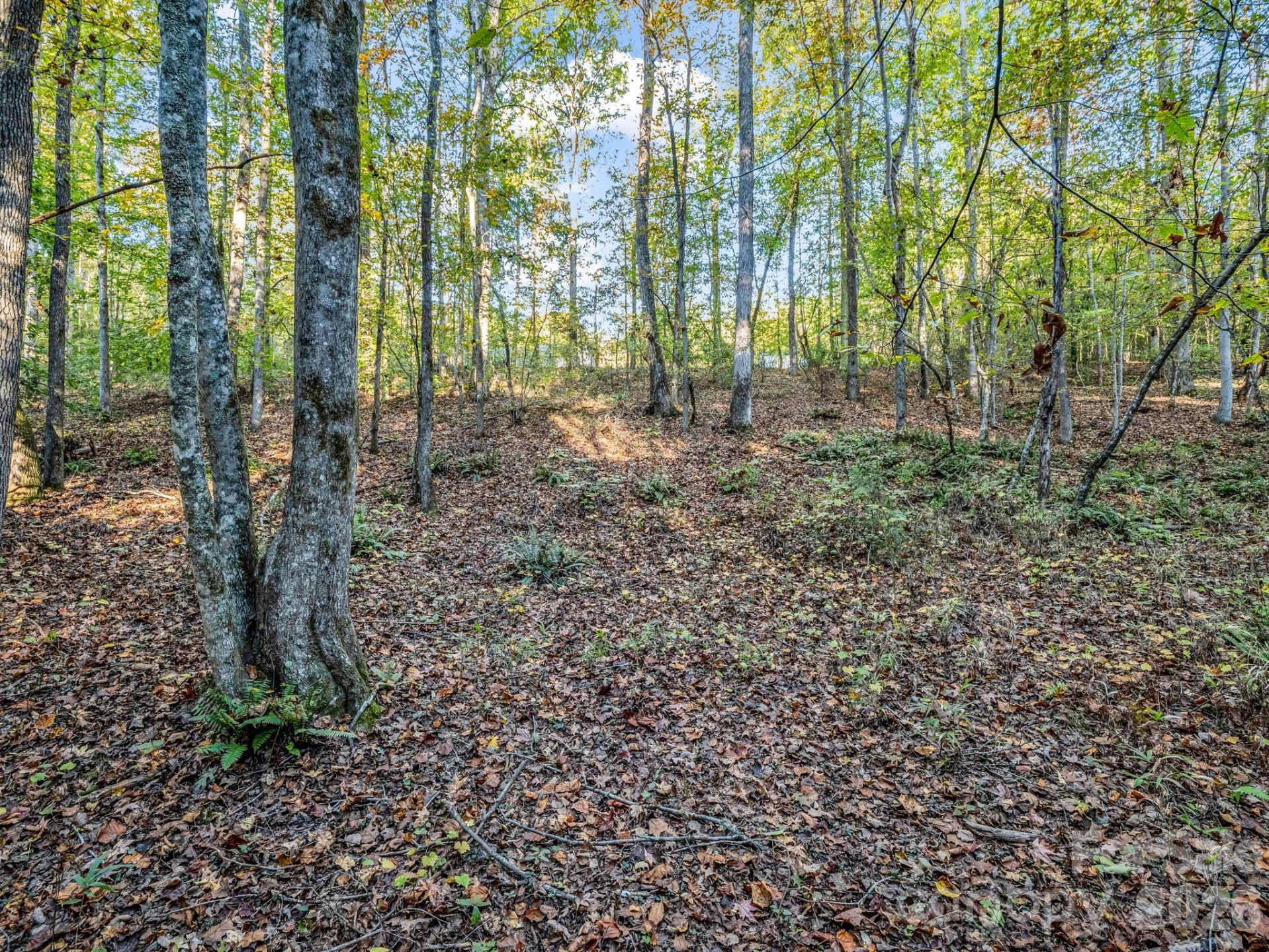 663 Landrum Road - Photo 29