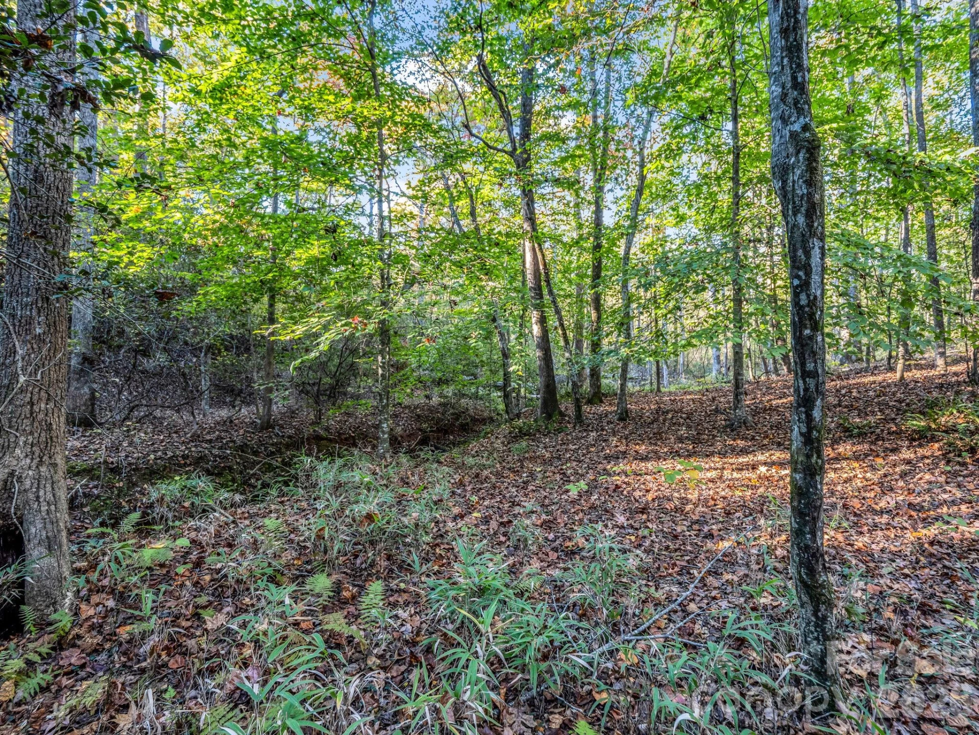 663 Landrum Road - Photo 30