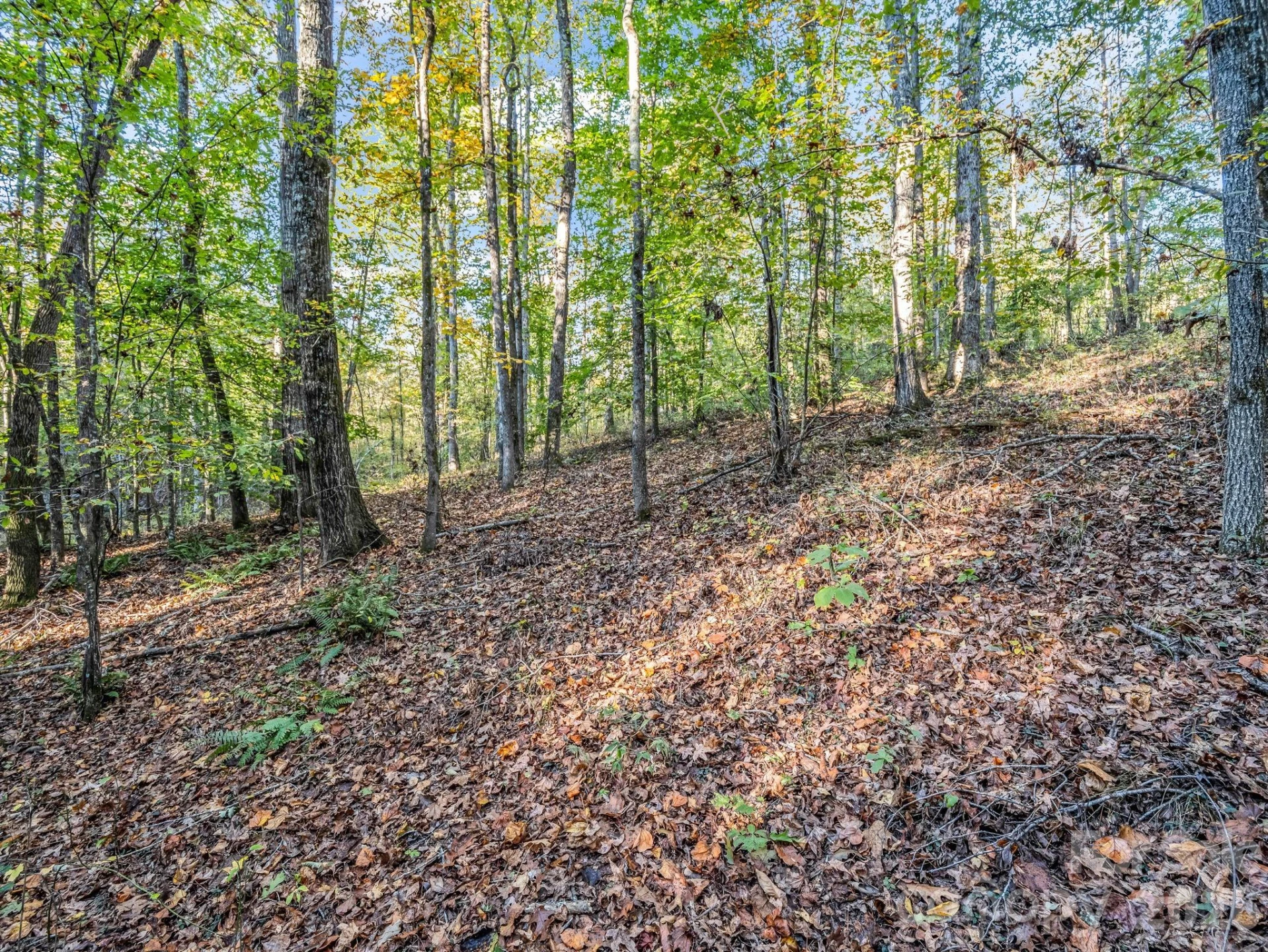 663 Landrum Road - Photo 31
