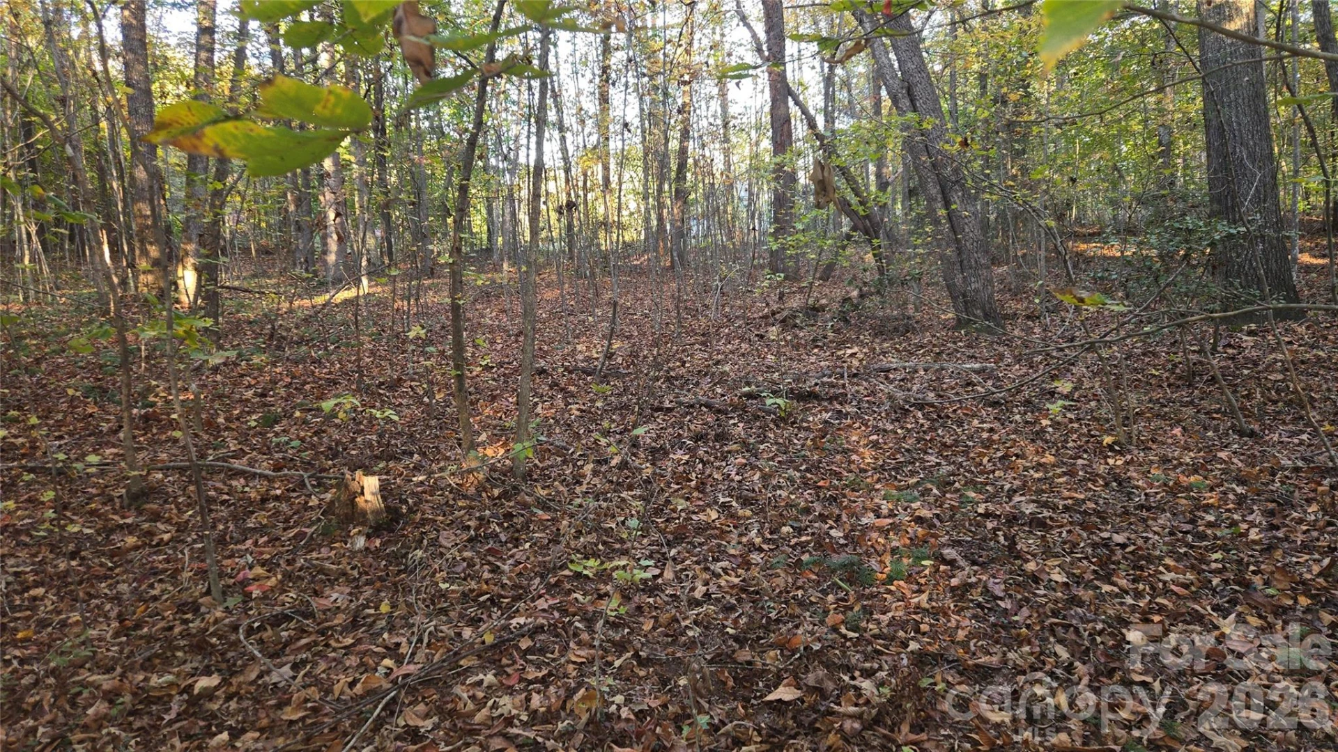 663 Landrum Road - Photo 32