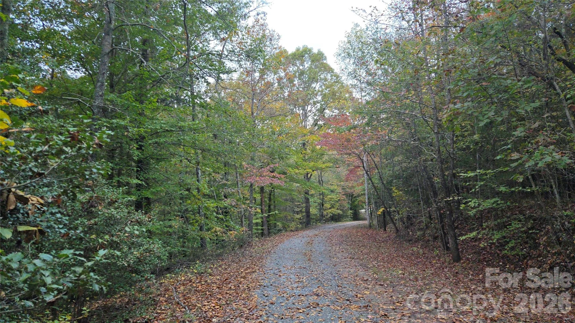 663 Landrum Road - Photo 36