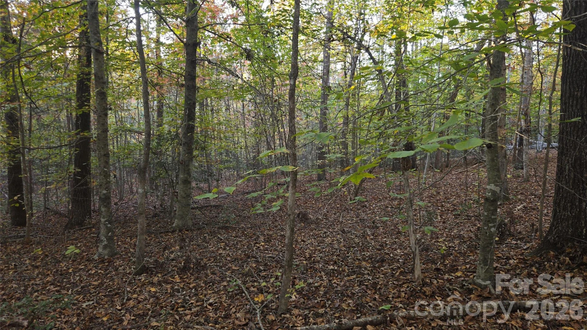 663 Landrum Road - Photo 38