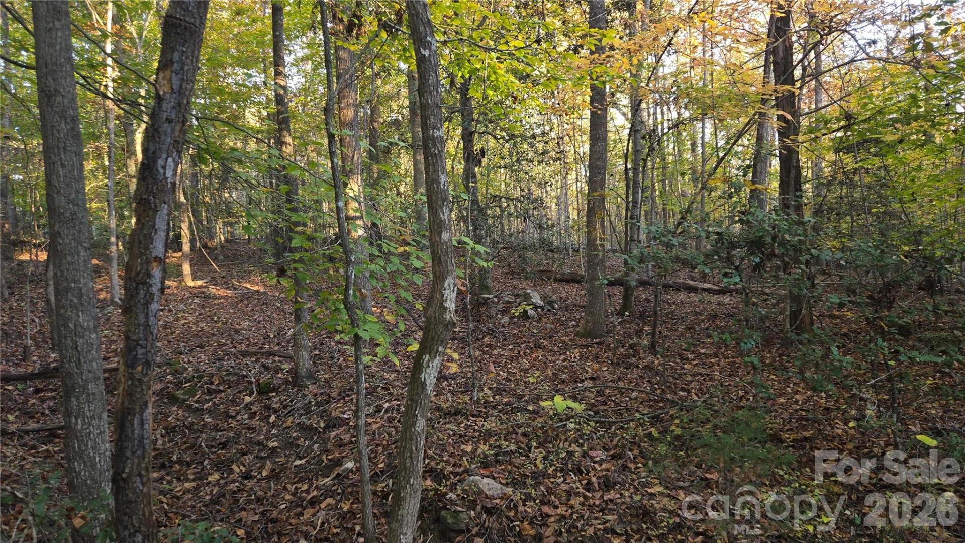 663 Landrum Road - Photo 39