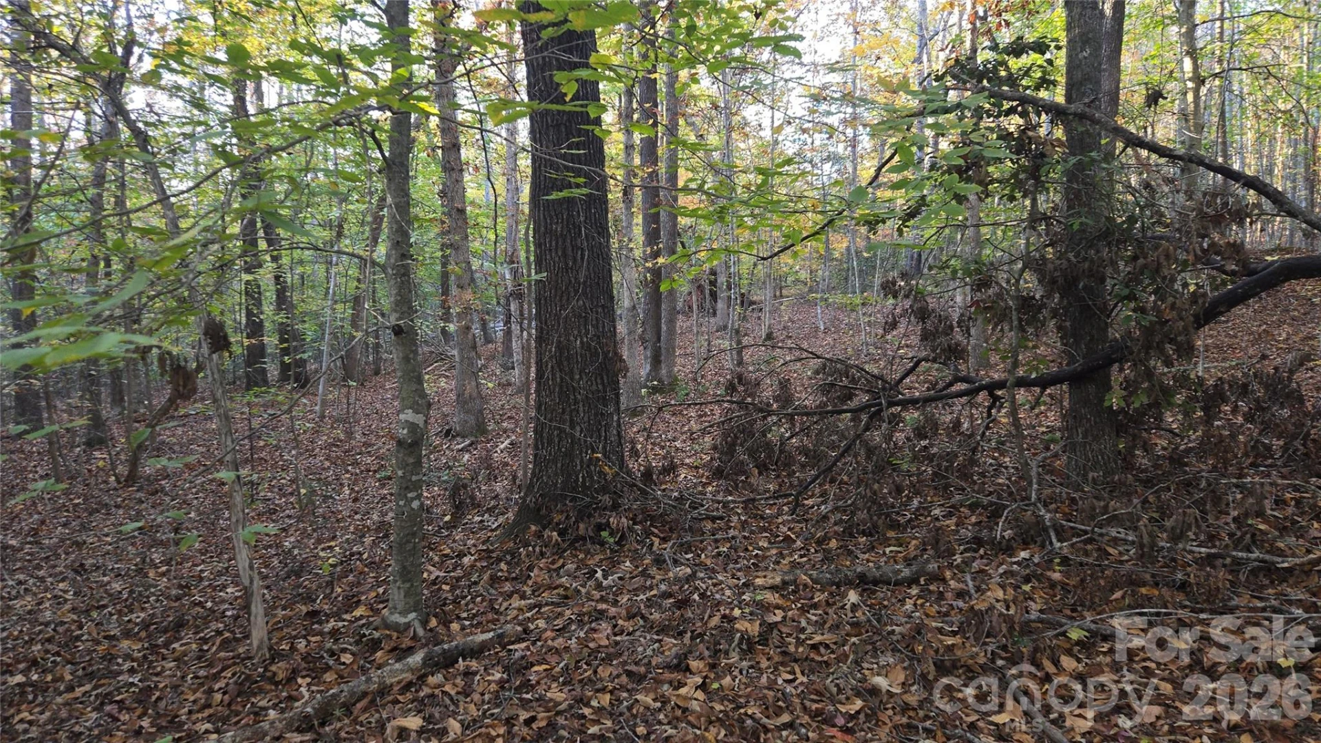 663 Landrum Road - Photo 40