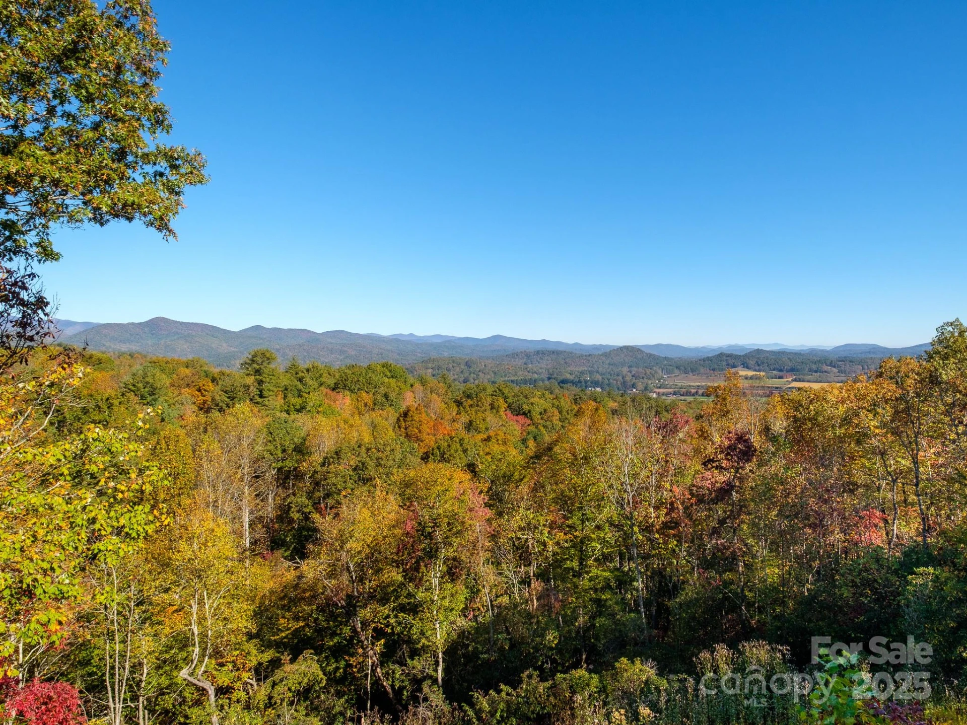 212 Jayhawk Lane - Photo 29