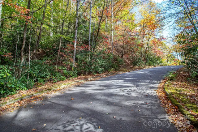 TBD Stone Drive