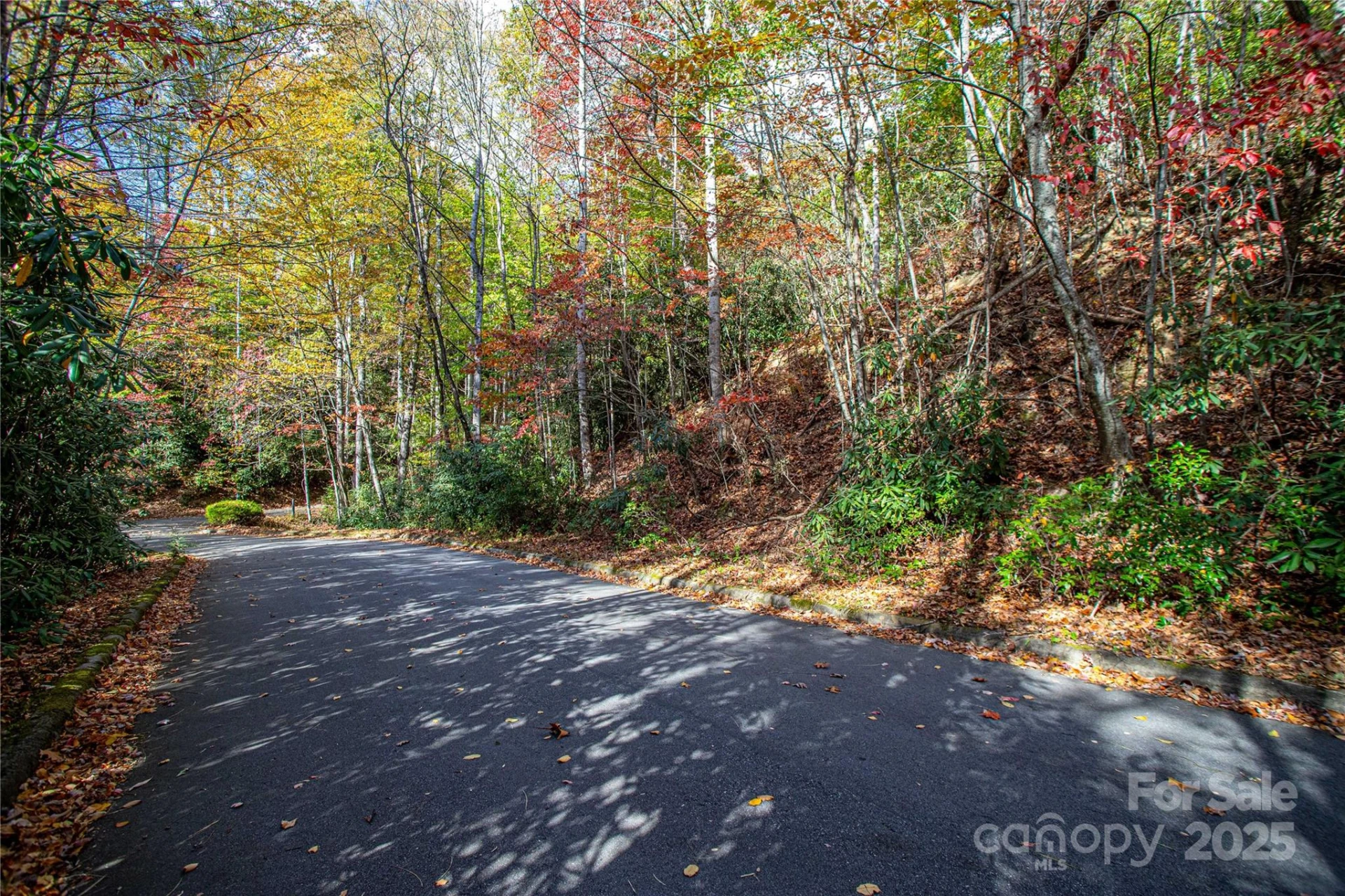 TBD Stone Drive #11 - Photo 2