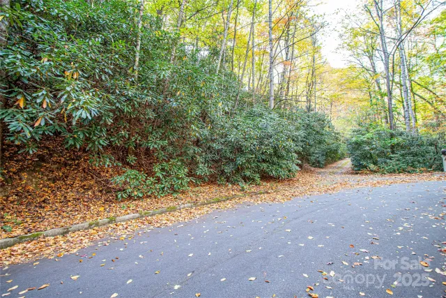 TBD Stone Drive