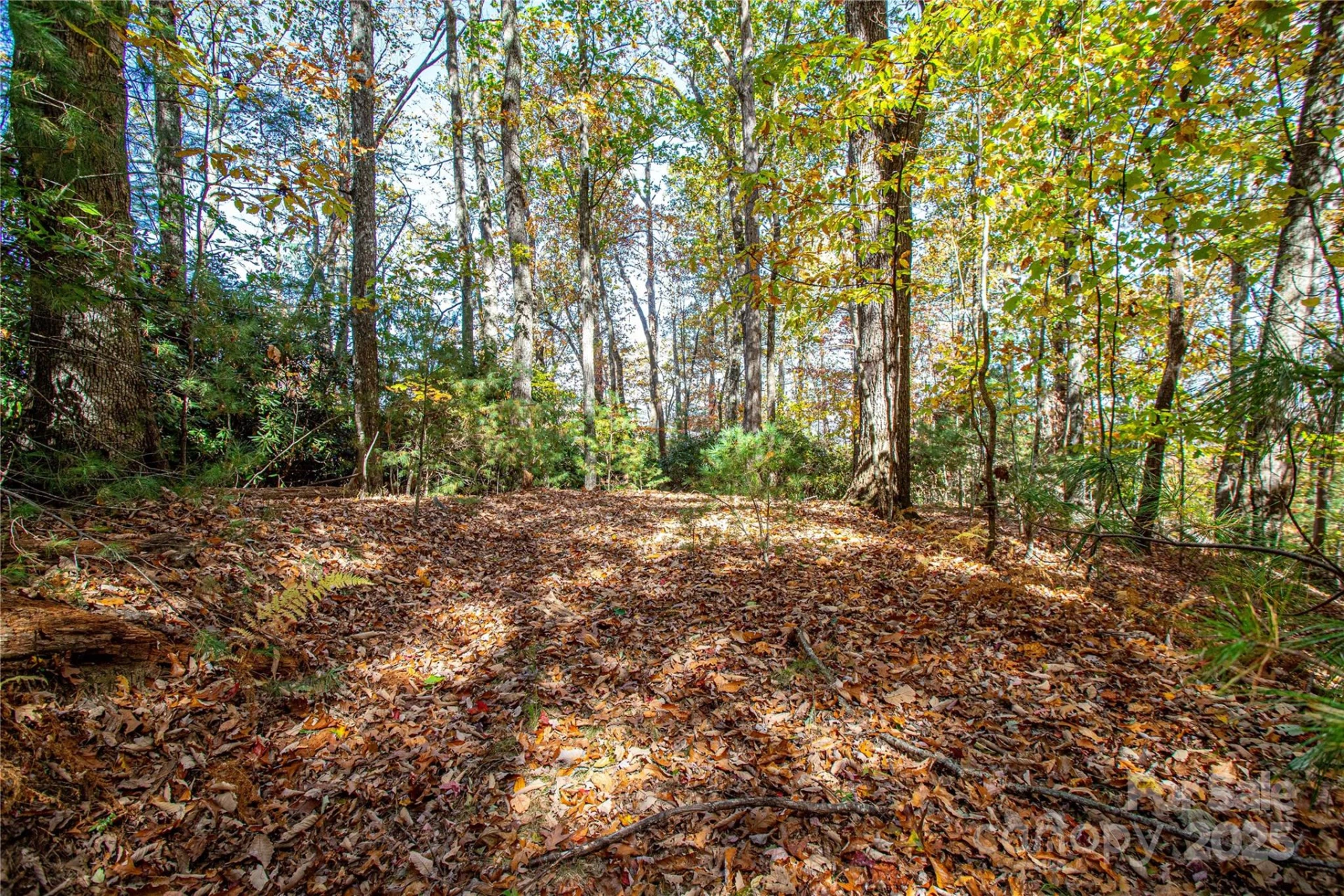 TBD Reserve Road #9A - Photo 11