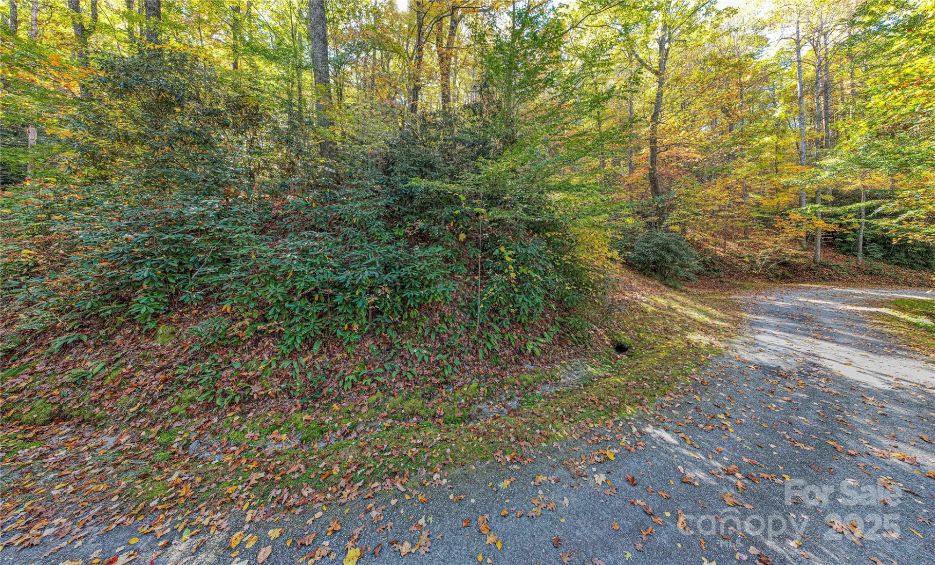 TBD Reserve Road #9A - Photo 3